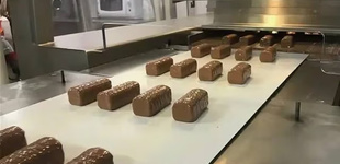 Новогодняя экскурсия